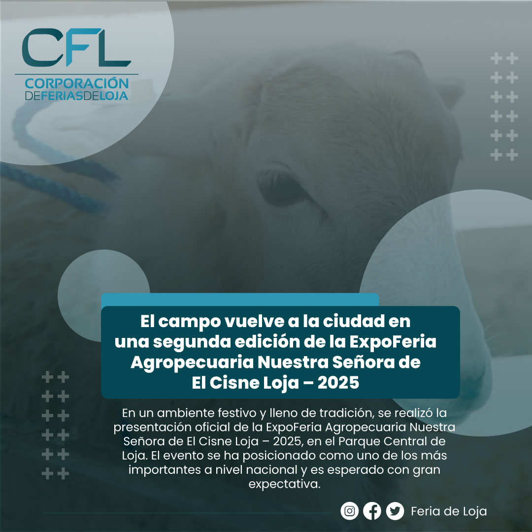 Plantilla